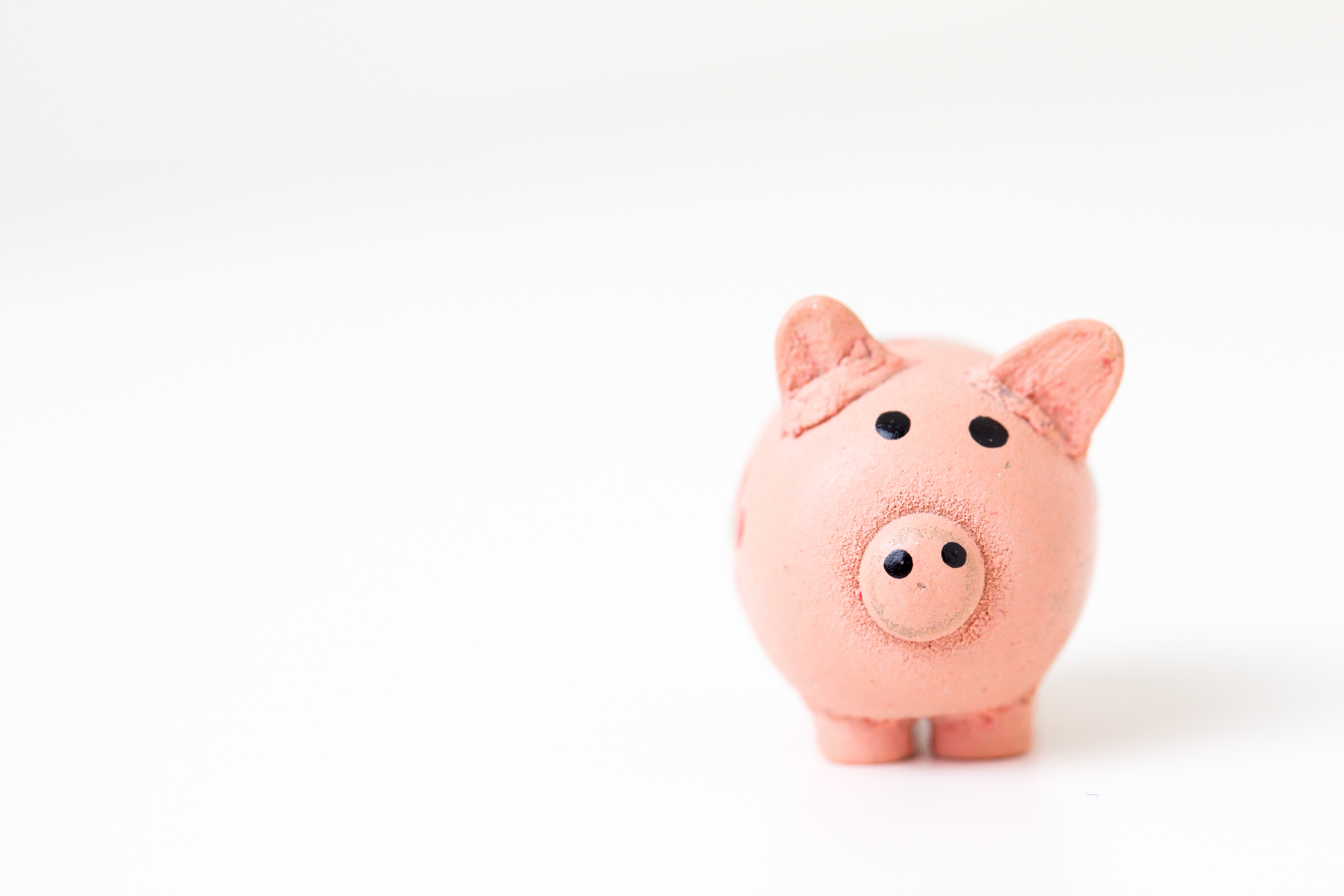 Image of piggy bank